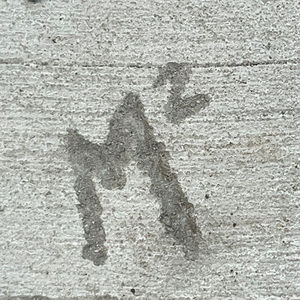 Meet your Posher, Mia